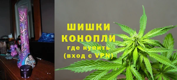 амф Дмитров