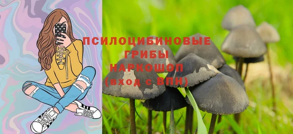 амф Дмитров