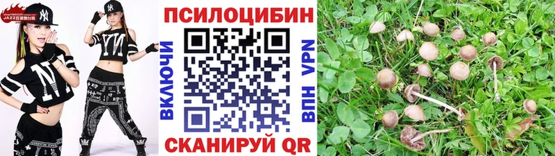 Псилоцибиновые грибы мицелий  где купить   mega ТОР  Петухово 